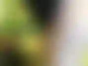 Sacudo mi trasero para que aplauda y solo provocarte hará que te corras tan fuerte.