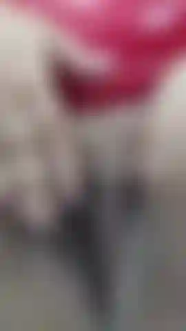 Pov_pussy_hitachi_(sin_sonido).