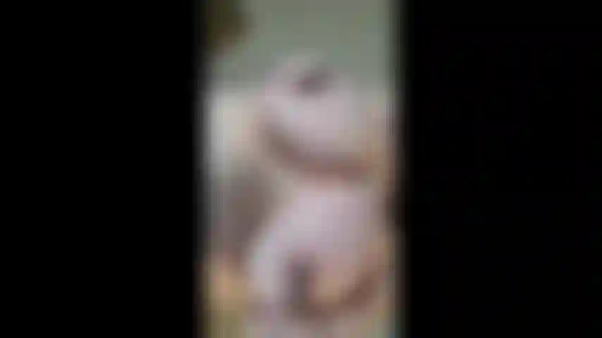 Pinzas en mis pezones duros de cerca y vista masturbándose.