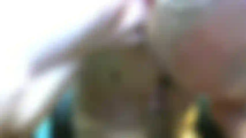 Lamiendo y bombeando esta larga polla.