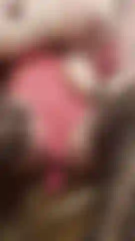 Watch me towards the end of an edging session, making interesting sounds when I finally release intensely.