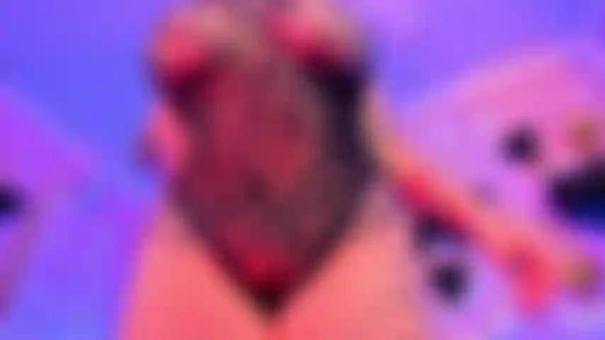 Cuerpo firme y pechos grandes.