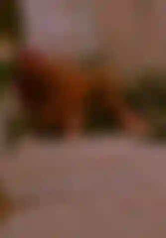 Anal doggy style by fuck machine