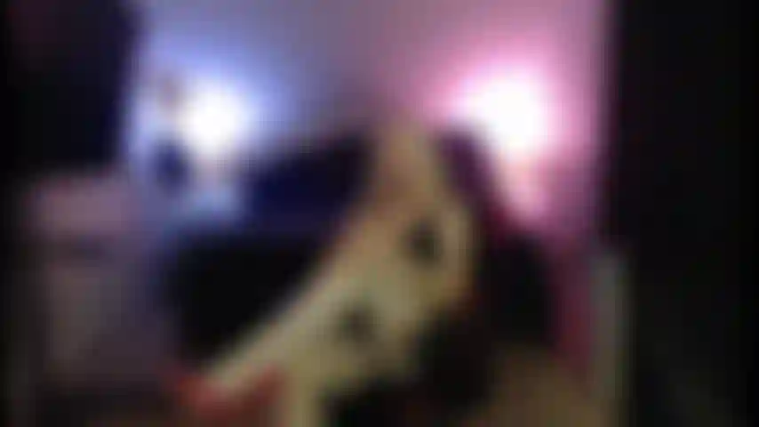 Sph y animo para craig.