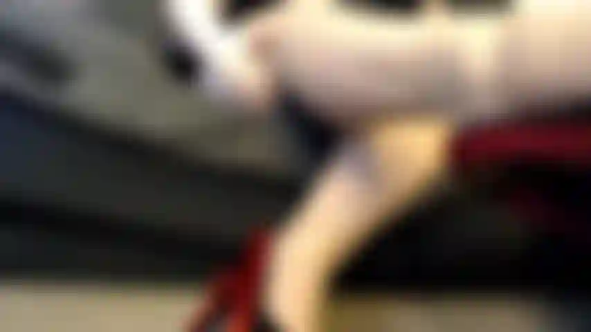 Débil para piernas sexys.