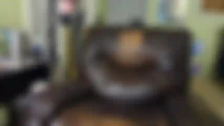 Metiendo mi vibrador Lovense en el ojete de mi trasero.