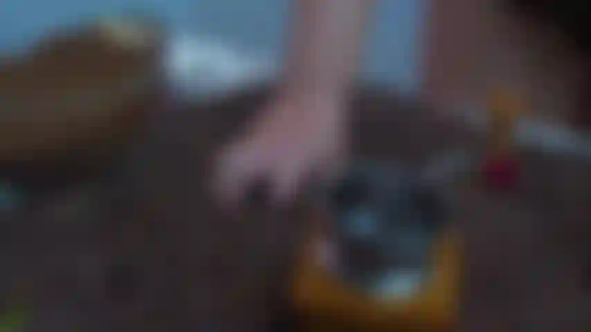 A los antiguos dioses les encantaba el sabor de los granos de café.