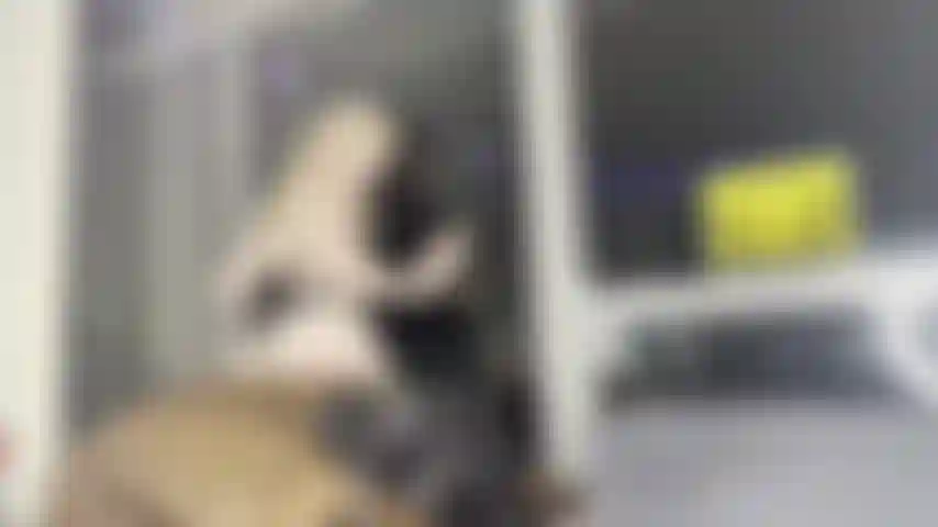 Hardcore Doggy Punishment Scene From Our Movie " The Late Checkout "