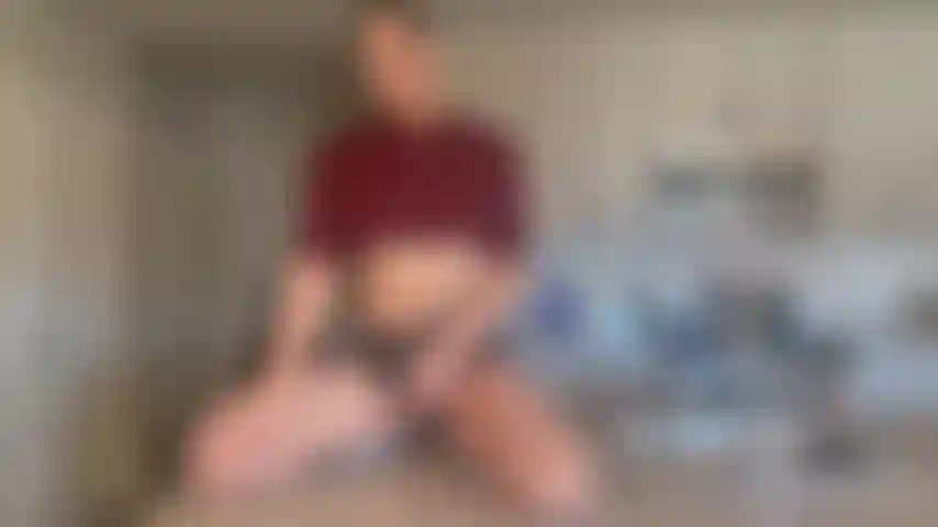 Anal en la encimera de la cocina con juguete.