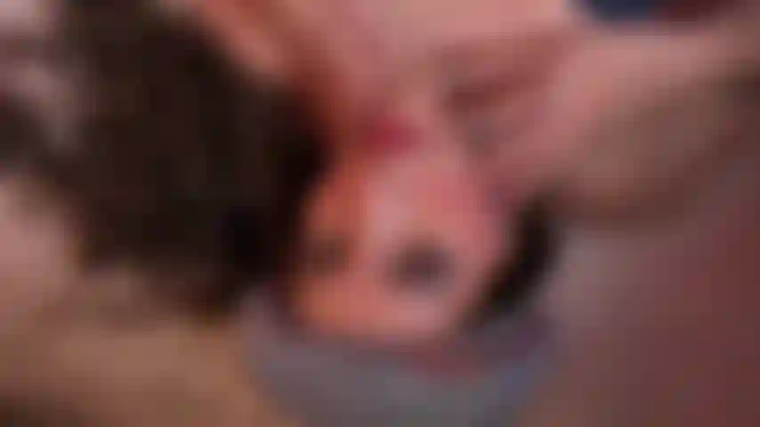 ¡Busco! ¡Video hd! A jugar!