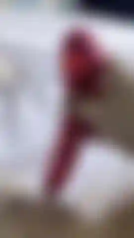 Everyone loves a wet pussy