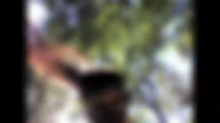 Baila en el bosque con medias negras y máscara.