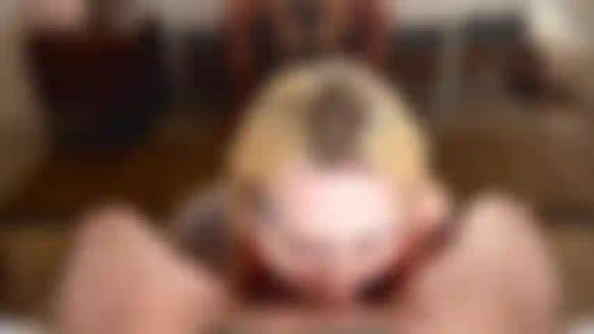 Suck cock in front of mirror n cumshot while licking balls^^