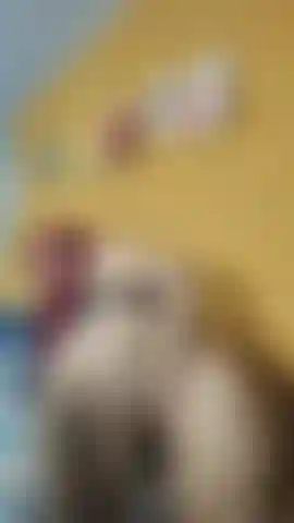 Pussy masturbation back position