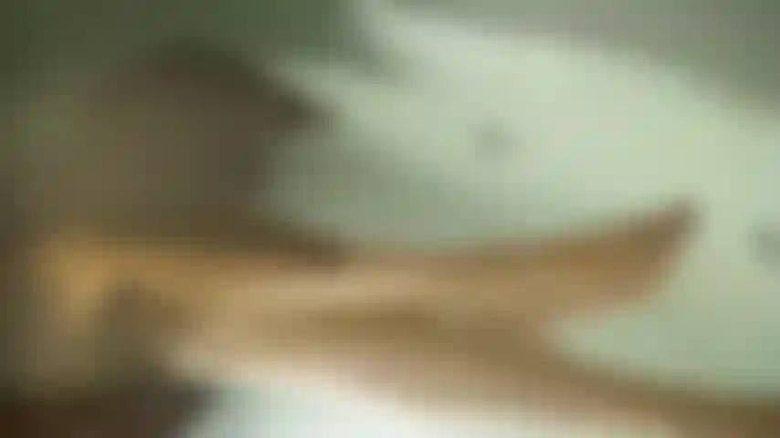 La pasión habla en promesas susurradas.