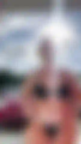 Sesión de posado en bikini afuera de mi habitación de hotel.