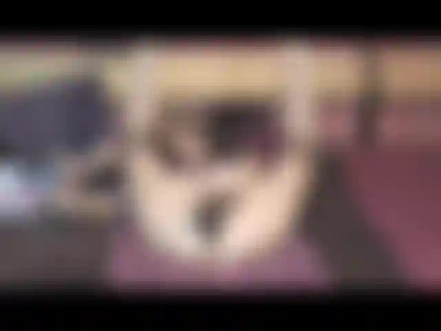 La segunda parte de mi travieso juego de rol, juguete de gang bang divertido! De espaldas, estilo perrito, cabalgando, etc.