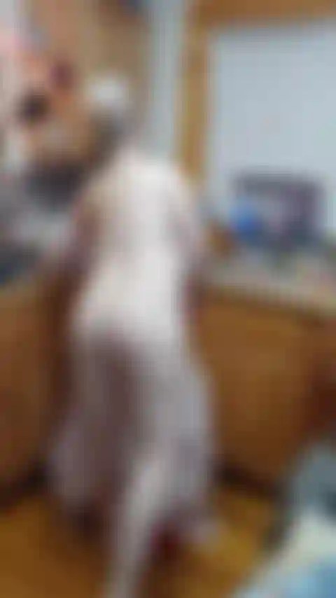 Feliz año chorreada para amo.