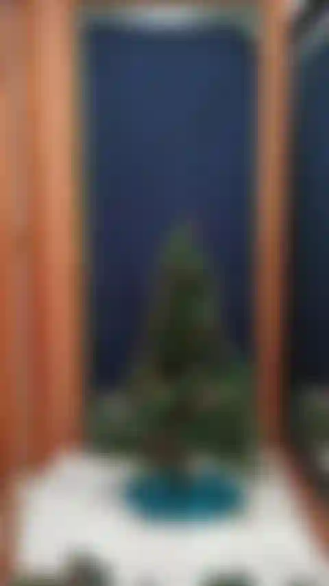 Decorando árboles de navidad.