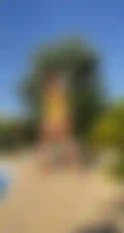 Video.