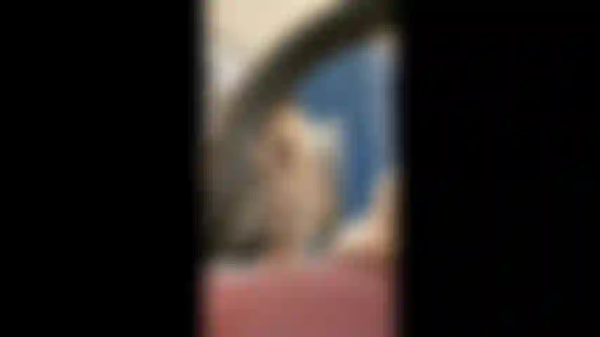 Espiando a una zorra que se cambia.