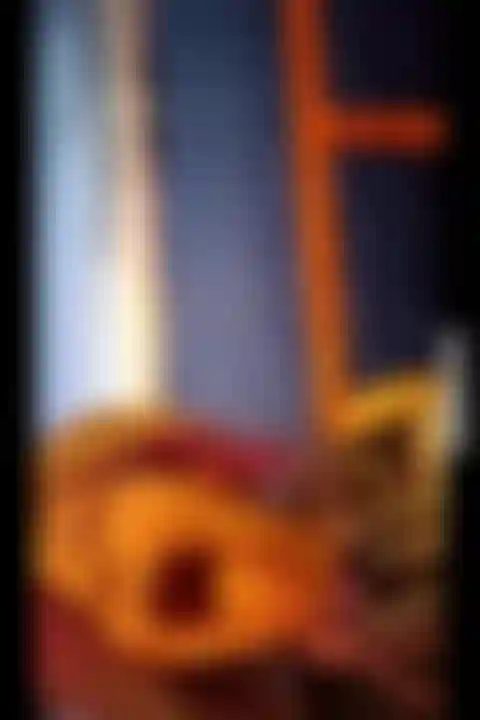 Parte 1: primera vez en el ferry de staten island, verifico la comparación entre mi boca y la estatua de la libertad, luego muestro mis tetas hasta que mi cámara se apaga.