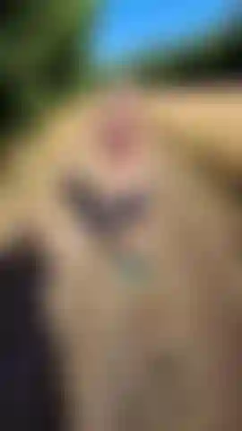 PROMENADE COQUINE LE LONG DU HALAGE :)