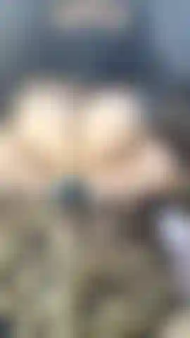 Hot boobs pressing and pussy rubbing