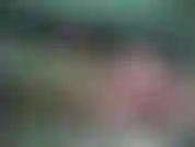 Eres nueva aquí y quieres ver un poco de cómo me toco? Bueno... Espero que les guste.