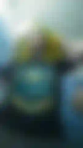 Corta para conocerme mejor.