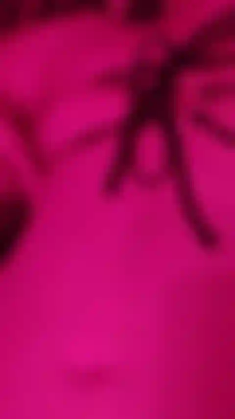 Pezón para ti en bikini nuevo.