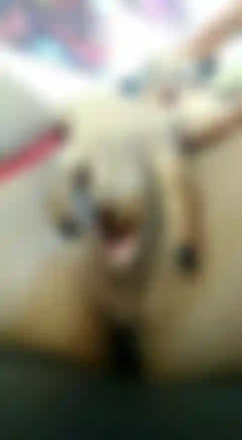 Dedos en el coño de cerca.