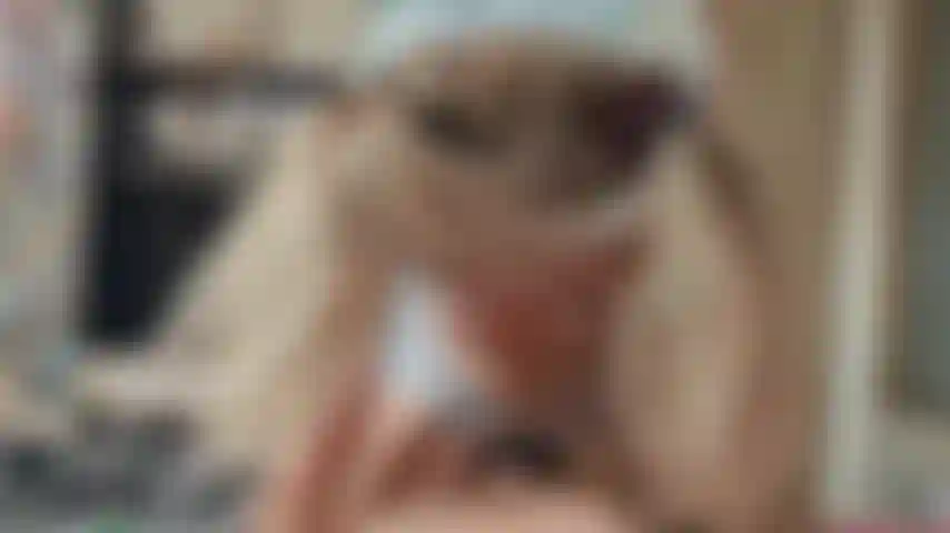 face sitting squirt anal ass creampie