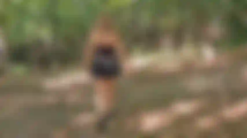 outdoor pov blowjob, handjob, facial