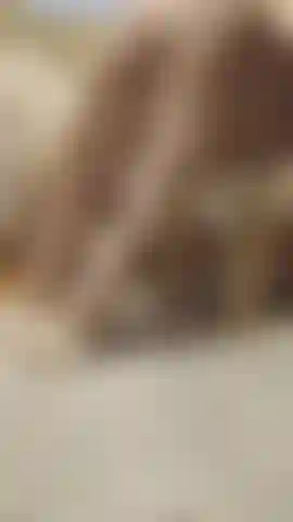 quick tease