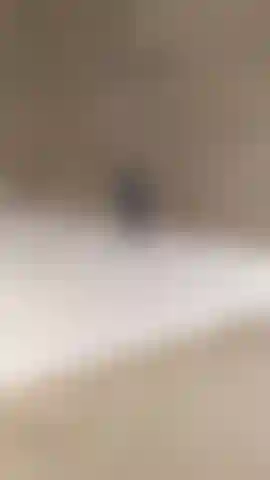 Doggystyle en la ducha me lavo y acaricio mi coñito. Coño y ano de cerca para ti.