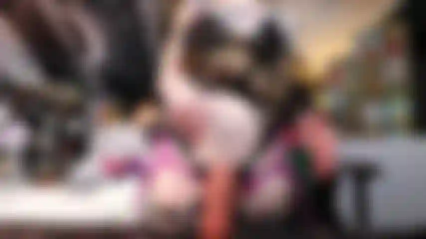 La novia gótica te considera.