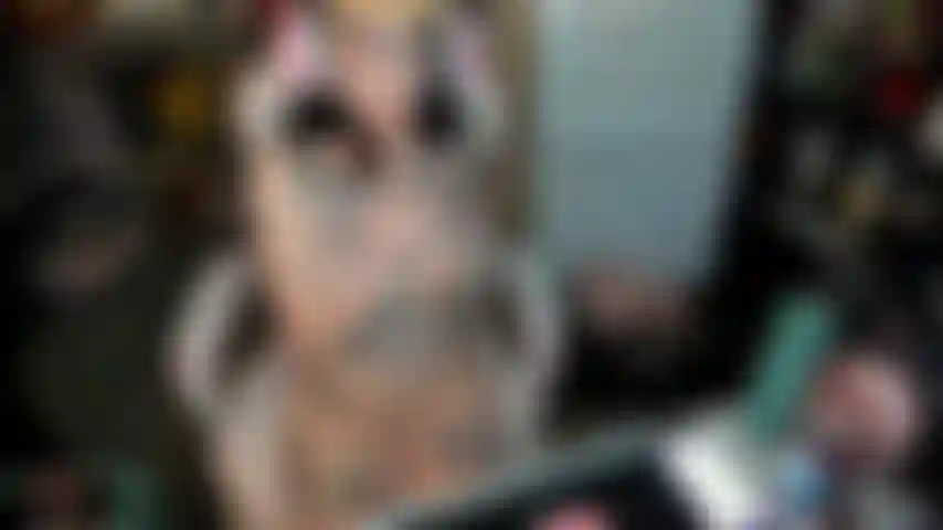 Chica gamer se masturba para ti y hace mamada desordenada.