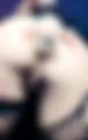 Some anal for you fingers in deep