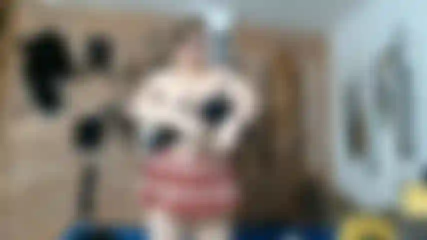 Bdsm_00014__mistress_mara__sum_leah.