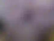 Desnuda con medias blancas. Milf fantasía de al lado donde te digo que me encantaría que seas mi vecino y vengas a follarme. Mucho joi, charla sucia, te digo que acaricies tu joven polla y te corras.