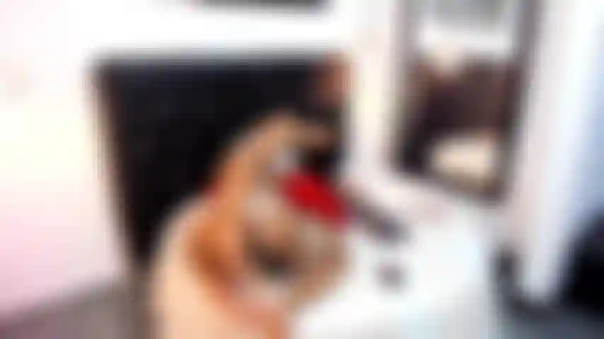 Show anal!! Tu botín favorito.