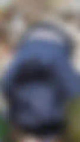 drinking milk in the forest (blowjob)