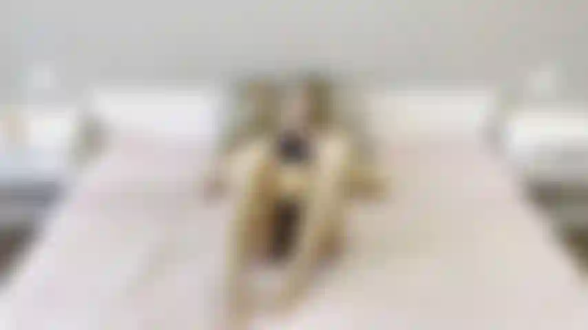 Solo 08/01/2023. ¿Me encanta ver cómo juego con mi consolador y hago que ese coño esté súper cremoso?