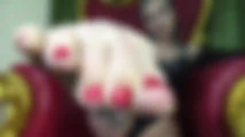 Pervertida de pies asmr.